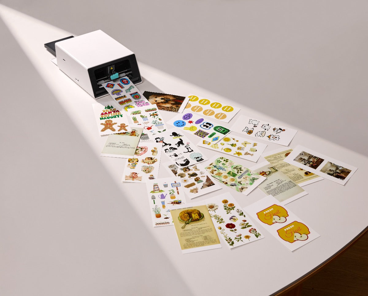 Decal vs Sticker: What’s the Real Difference? (And What You Can Make with Liene PixCut S1)