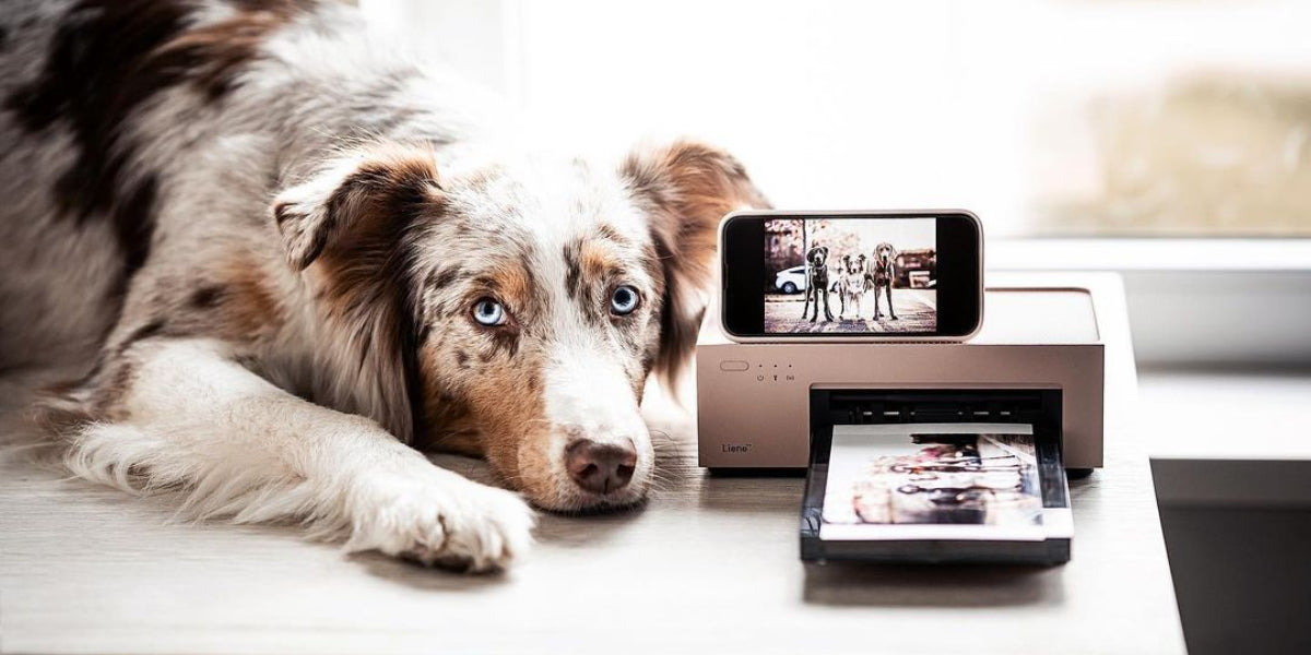 Print Photos from Liene Amber 4x6 Instant Photo Printer