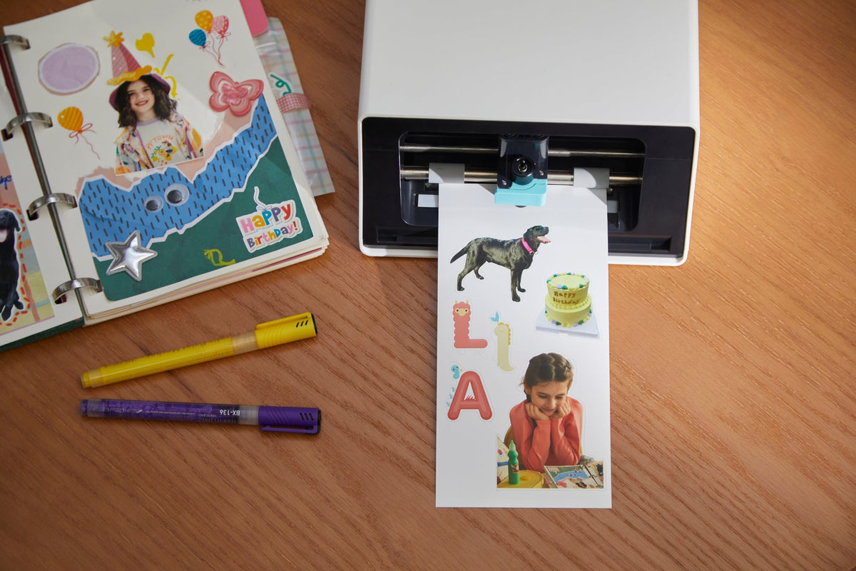 How to Make Custom Face Stickers for Parties and Gifts with PixCut S1